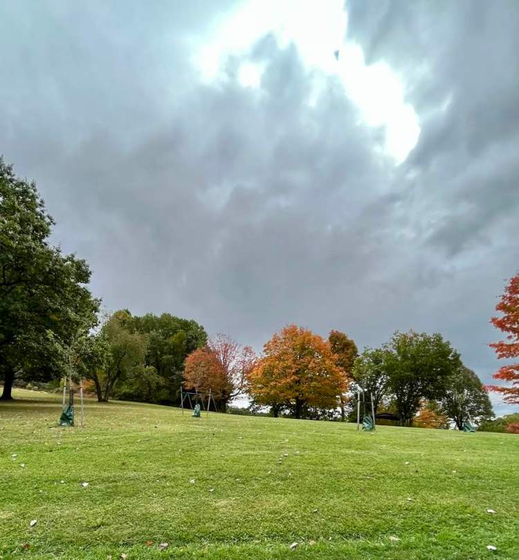 October fall leaves and sky
